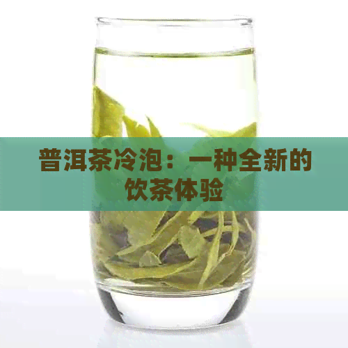 普洱茶冷泡：一种全新的饮茶体验