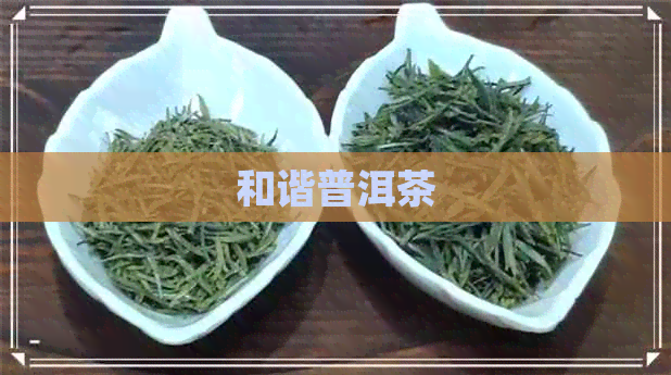 和谐普洱茶