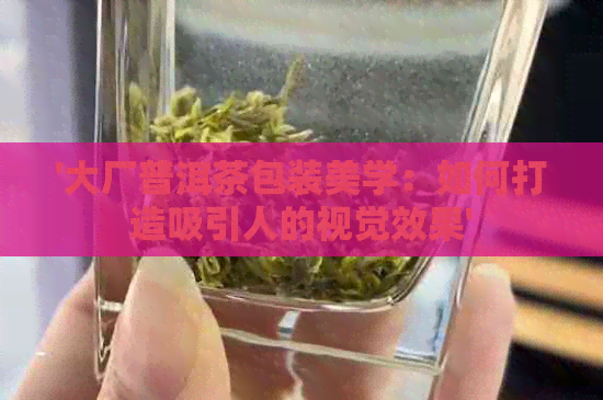 '大厂普洱茶包装美学：如何打造吸引人的视觉效果'