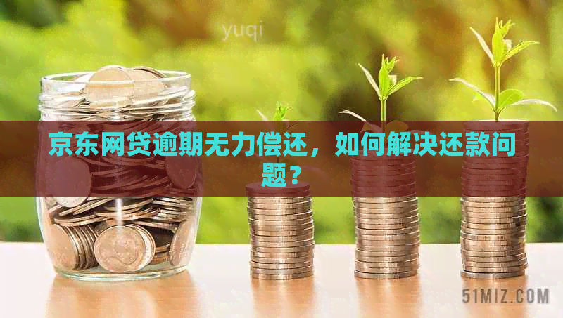 京东网贷逾期无力偿还，如何解决还款问题？