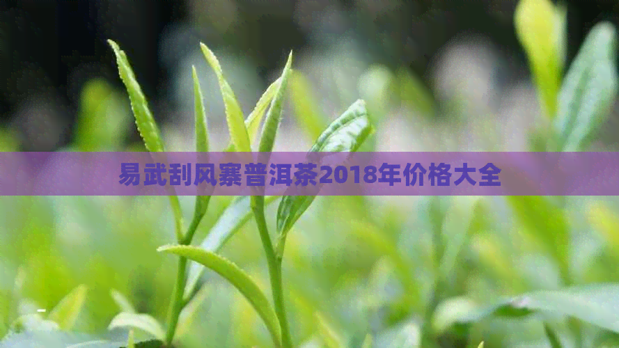 易武刮风寨普洱茶2018年价格大全