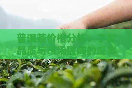 普洱茶价格分析：了解品质与市场区间的成本