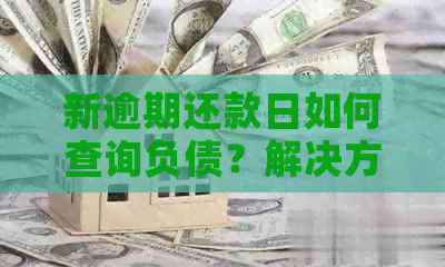 新逾期还款日如何查询负债？解决方案在这里！