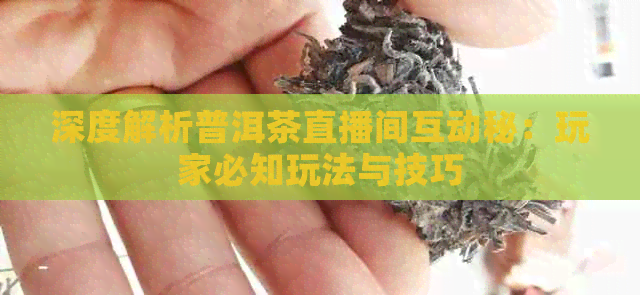 深度解析普洱茶直播间互动秘：玩家必知玩法与技巧