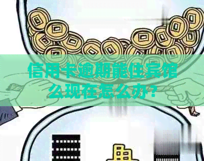 信用卡逾期能住宾馆么现在怎么办？