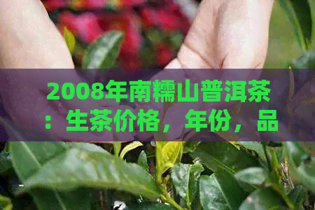 2008年南糯山普洱茶：生茶价格，年份，品质对比分析