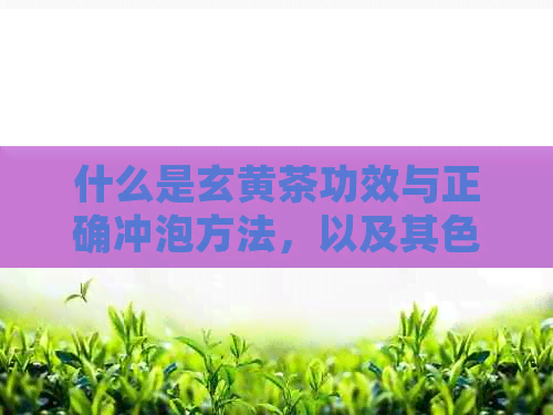 什么是玄黄茶功效与正确冲泡方法，以及其色素真伪与玄黄的药材性质