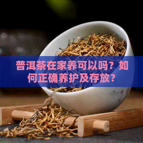 普洱茶在家养可以吗？如何正确养护及存放？