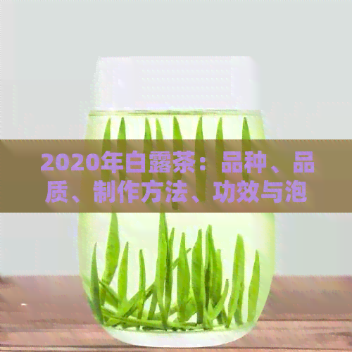 2020年白露茶：品种、品质、制作方法、功效与泡法全面解析