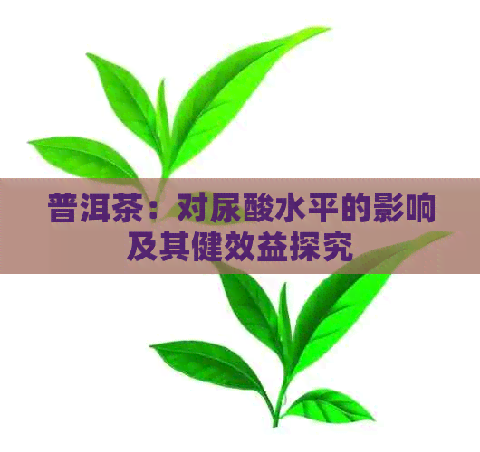 普洱茶：对尿酸水平的影响及其健效益探究