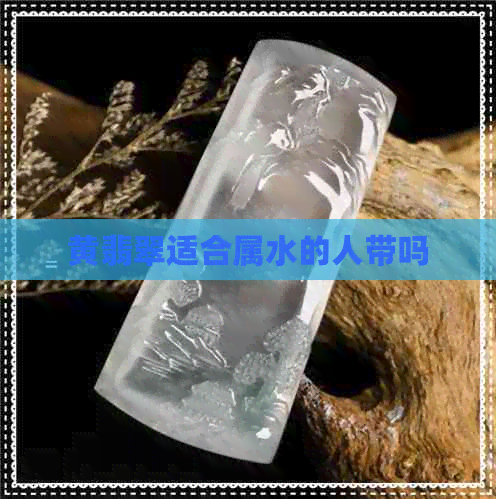 黄翡翠适合属水的人带吗