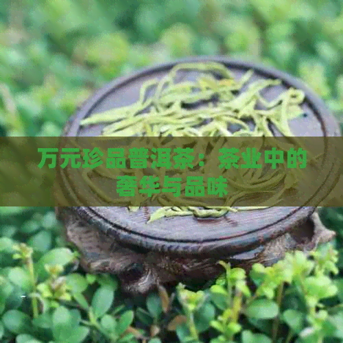 万元珍品普洱茶：茶业中的奢华与品味