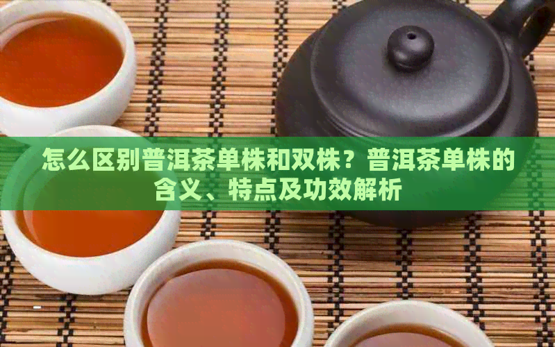 怎么区别普洱茶单株和双株？普洱茶单株的含义、特点及功效解析