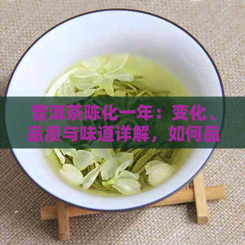 普洱茶陈化一年：变化、品质与味道详解，如何品鉴和存？