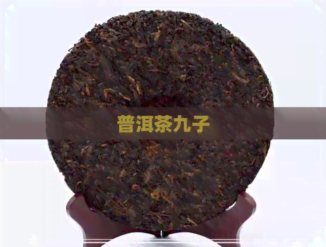 普洱茶九子