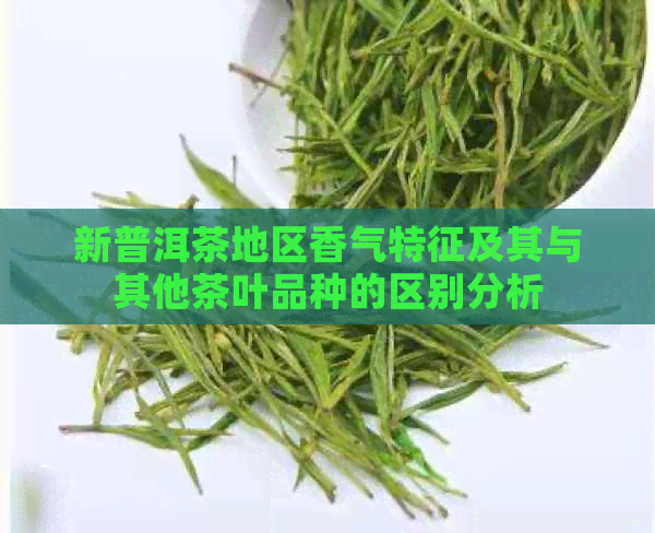 新普洱茶地区香气特征及其与其他茶叶品种的区别分析