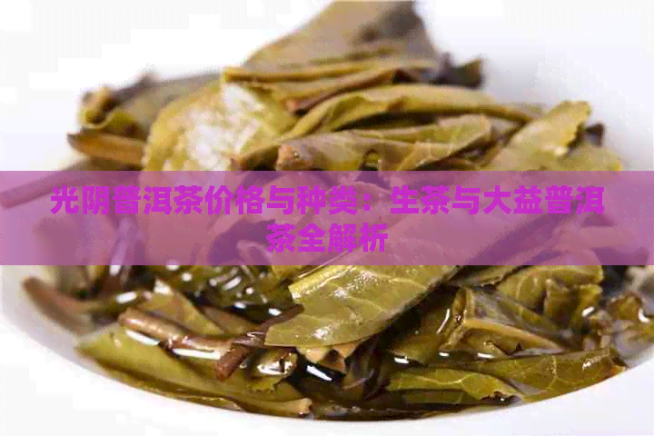 光阴普洱茶价格与种类：生茶与大益普洱茶全解析