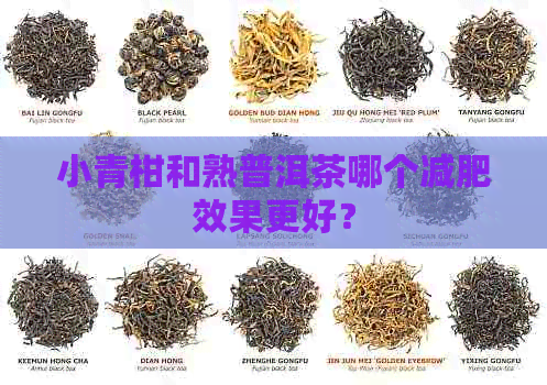 小青柑和熟普洱茶哪个减肥效果更好？