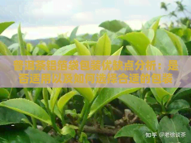 普洱茶铝箔袋包装优缺点分析：是否适用以及如何选择合适的包装方式？