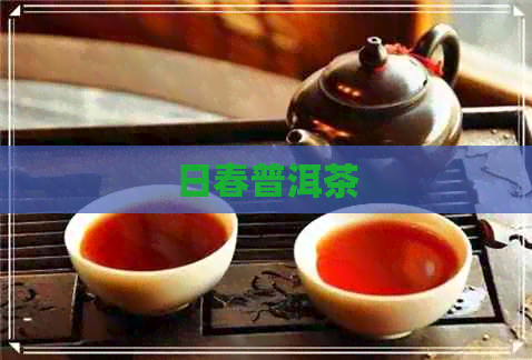 日春普洱茶