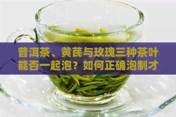 普洱茶、黄芪与玫瑰三种茶叶能否一起泡？如何正确泡制才能发挥效果？