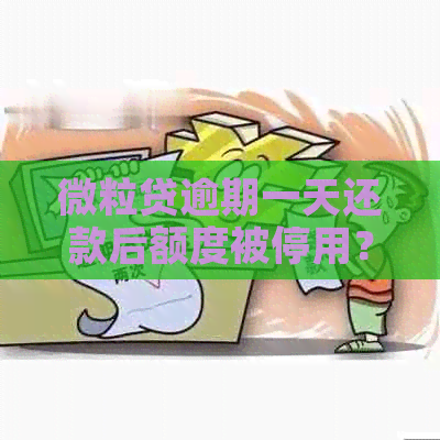 微粒贷逾期一天还款后额度被停用？原因及解决办法全面解析！