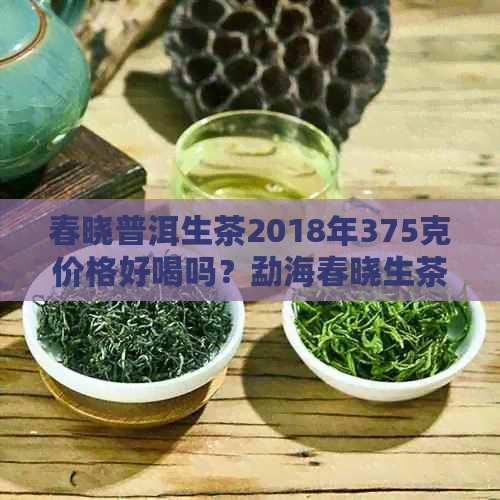 春晓普洱生茶2018年375克价格好喝吗？勐海春晓生茶