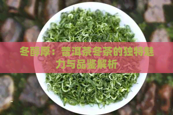 冬醇厚：普洱茶冬茶的独特魅力与品鉴解析