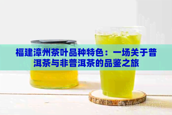 福建漳州茶叶品种特色：一场关于普洱茶与非普洱茶的品鉴之旅