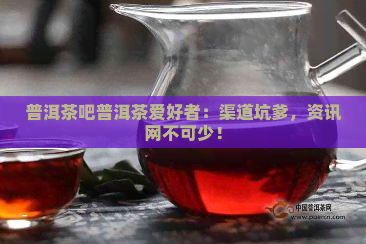 普洱茶吧普洱茶爱好者：渠道坑爹，资讯网不可少！