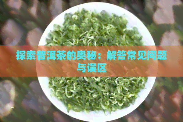 探索普洱茶的奥秘：解答常见问题与误区