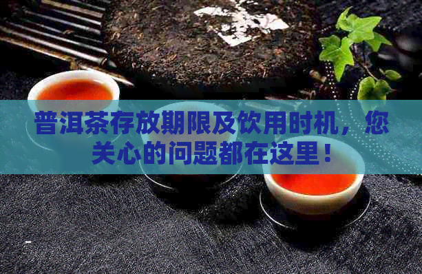 普洱茶存放期限及饮用时机，您关心的问题都在这里！