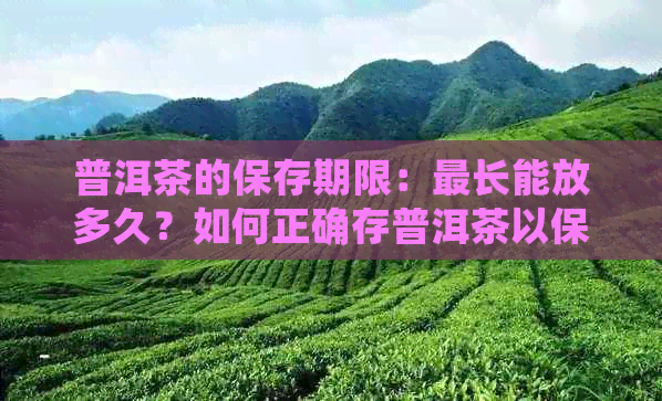 普洱茶的保存期限：最长能放多久？如何正确存普洱茶以保持其品质？