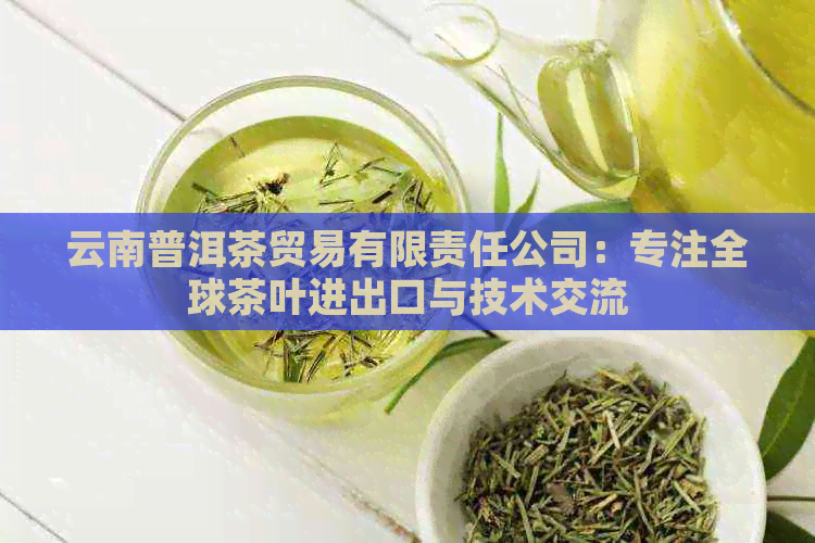 云南普洱茶贸易有限责任公司：专注全球茶叶进出口与技术交流