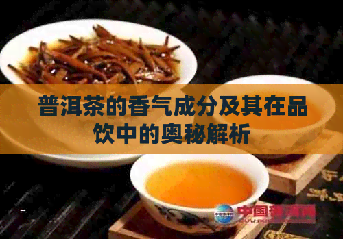 普洱茶的香气成分及其在品饮中的奥秘解析