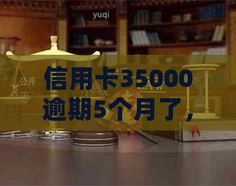 信用卡35000逾期5个月了，如何处理？