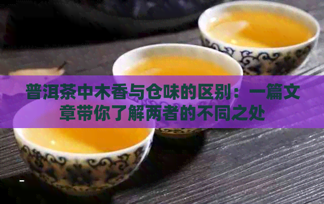 普洱茶中木香与仓味的区别：一篇文章带你了解两者的不同之处