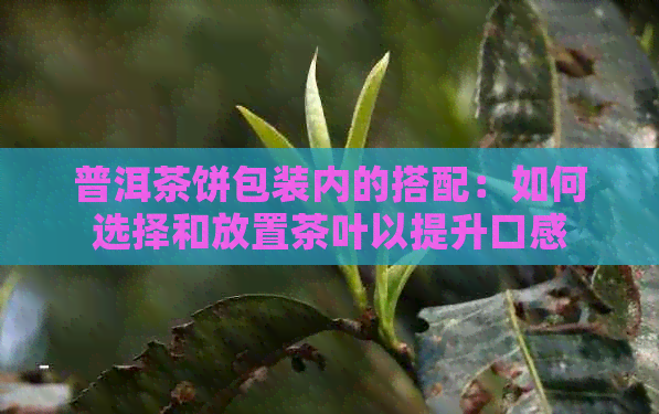 普洱茶饼包装内的搭配：如何选择和放置茶叶以提升口感