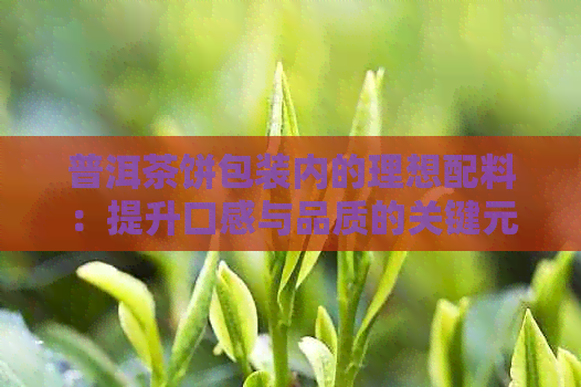 普洱茶饼包装内的理想配料：提升口感与品质的关键元素