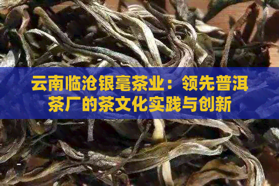 云南临沧银毫茶业：领先普洱茶厂的茶文化实践与创新