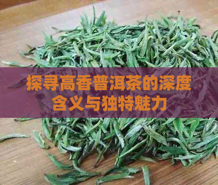 探寻高香普洱茶的深度含义与独特魅力