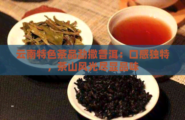 云南特色茶品勐撒普洱：口感独特，茶山风光尽显品味