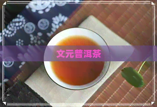 文元普洱茶