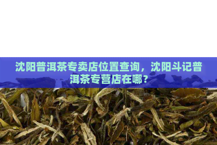 沈阳普洱茶专卖店位置查询，沈阳斗记普洱茶专营店在哪？