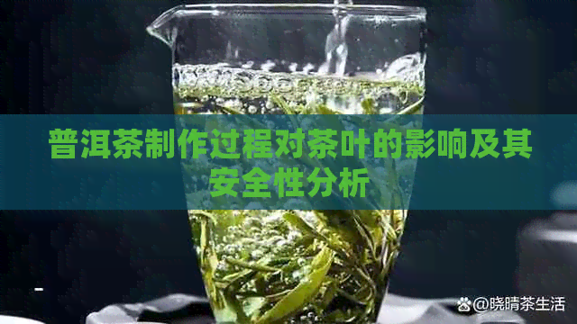 普洱茶制作过程对茶叶的影响及其安全性分析