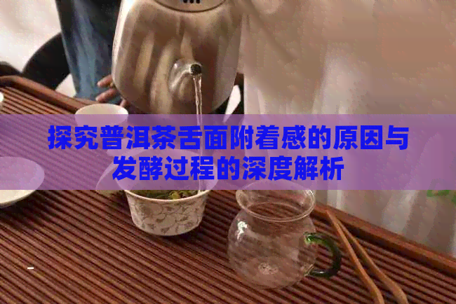 探究普洱茶舌面附着感的原因与发酵过程的深度解析