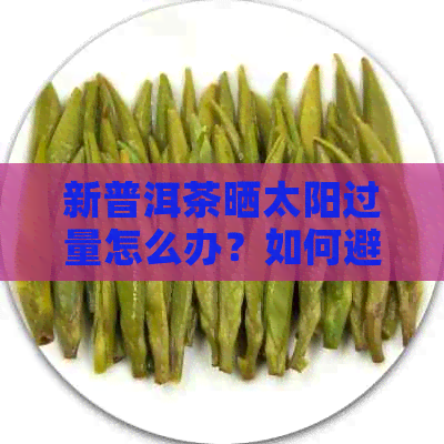 新普洱茶晒太阳过量怎么办？如何避免茶品受损？