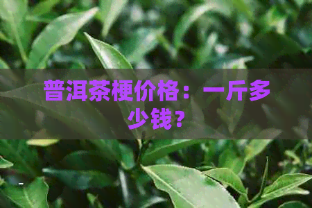 普洱茶梗价格：一斤多少钱？