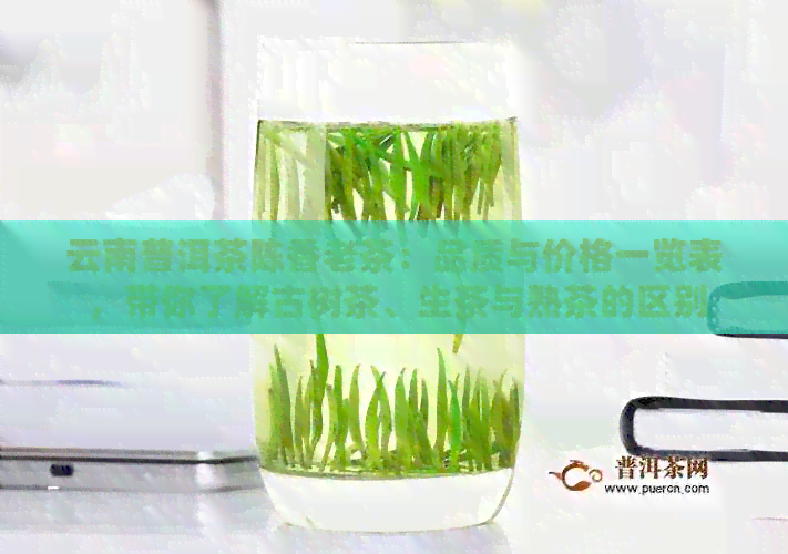 云南普洱茶陈香老茶：品质与价格一览表，带你了解古树茶、生茶与熟茶的区别