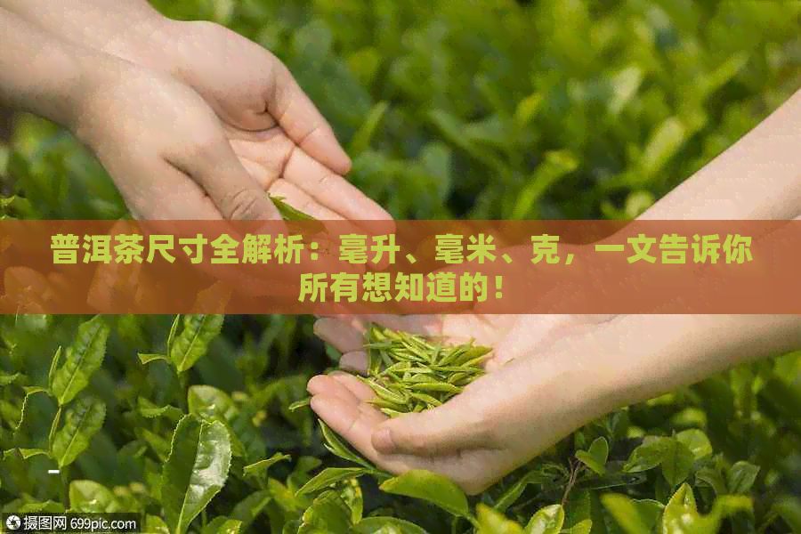 普洱茶尺寸全解析：毫升、毫米、克，一文告诉你所有想知道的！